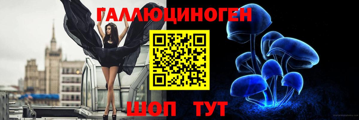 Гатчина  магазин    Вход с VPN  Псилоцибиновые грибы прущие грибы 